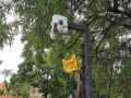 IMG-20210129-WA0065
