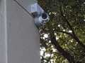 IMG-20210203-WA0056
